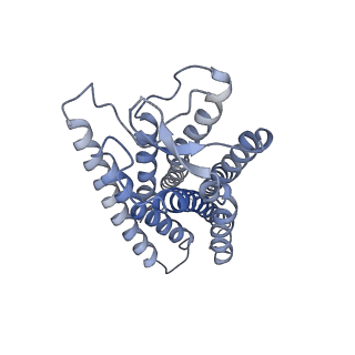 35356_8id3_R_v1-2
Cryo-EM structure of the 9-hydroxystearic acid bound GPR120-Gi complex
