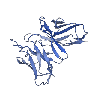 35356_8id3_S_v1-2
Cryo-EM structure of the 9-hydroxystearic acid bound GPR120-Gi complex