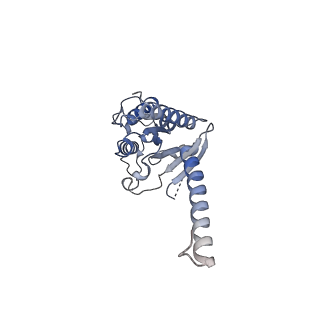 35357_8id4_A_v1-2
Cryo-EM structure of the linoleic acid bound GPR120-Gi complex