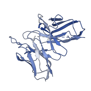 35357_8id4_S_v1-2
Cryo-EM structure of the linoleic acid bound GPR120-Gi complex