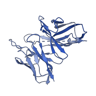 35358_8id6_S_v1-2
Cryo-EM structure of the oleic acid bound GPR120-Gi complex