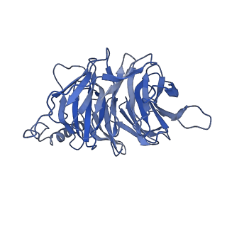 35360_8id9_B_v1-2
Cryo-EM structure of the eicosapentaenoic acid bound GPR120-Gi complex