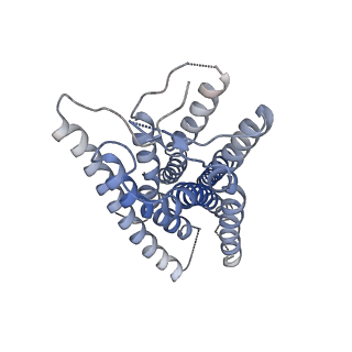 35360_8id9_R_v1-2
Cryo-EM structure of the eicosapentaenoic acid bound GPR120-Gi complex