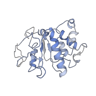 35362_8idb_B_v1-1
Cryo-EM structure of Mycobacterium tuberculosis FtsEX complex in peptidisc