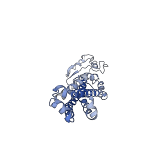 35362_8idb_C_v1-1
Cryo-EM structure of Mycobacterium tuberculosis FtsEX complex in peptidisc