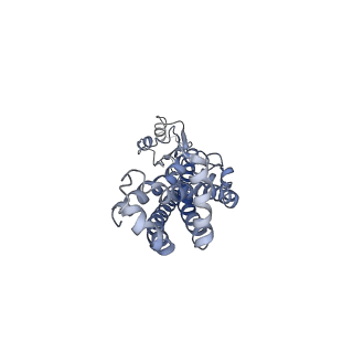 35363_8idc_D_v1-1
Cryo-EM structure of Mycobacterium tuberculosis FtsEX/RipC complex in peptidisc