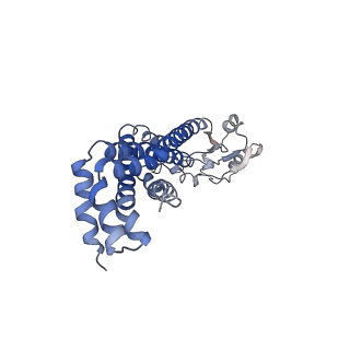 35364_8idd_C_v1-1
Cryo-EM structure of Mycobacterium tuberculosis ATP bound FtsEX/RipC complex in peptidisc