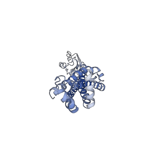 35364_8idd_D_v1-1
Cryo-EM structure of Mycobacterium tuberculosis ATP bound FtsEX/RipC complex in peptidisc