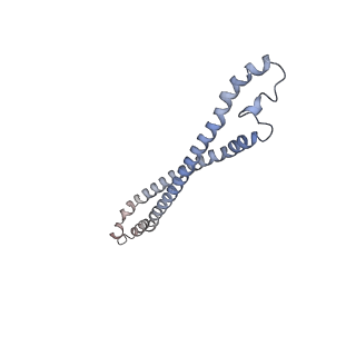 35364_8idd_E_v1-1
Cryo-EM structure of Mycobacterium tuberculosis ATP bound FtsEX/RipC complex in peptidisc