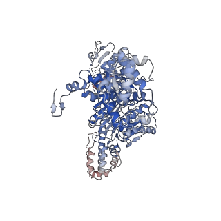 35365_8ide_A_v1-1
Structure of an ancient TsaD-TsaC-SUA5-TcdA modular enzyme (TsaN)