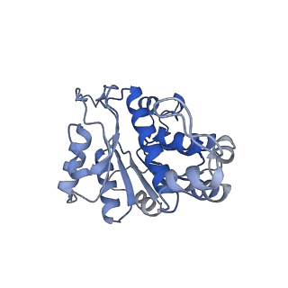 35365_8ide_B_v1-1
Structure of an ancient TsaD-TsaC-SUA5-TcdA modular enzyme (TsaN)