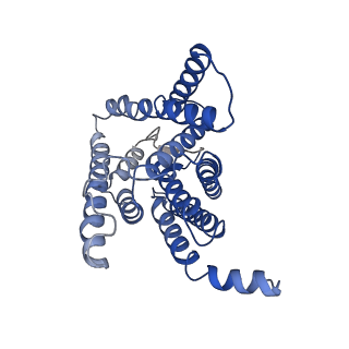 9648_6idf_B_v1-2
Cryo-EM structure of gamma secretase in complex with a Notch fragment