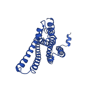 9648_6idf_C_v1-2
Cryo-EM structure of gamma secretase in complex with a Notch fragment