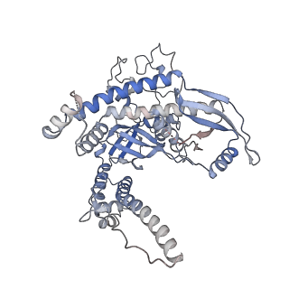35374_8iew_A_v1-0
Cas005-crRNA-DNA complex