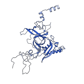 35375_8ie3_B_v1-1
human nuclear pre-60S ribosomal particle - State E