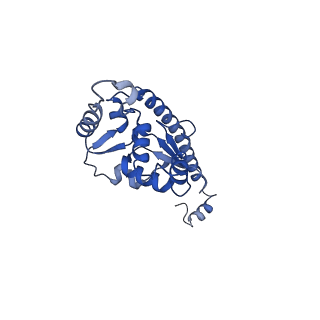 35375_8ie3_V_v1-1
human nuclear pre-60S ribosomal particle - State E