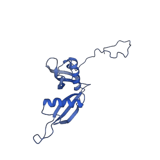 35375_8ie3_b_v1-1
human nuclear pre-60S ribosomal particle - State E