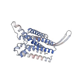 35377_8ieb_A_v1-1
Cryo-EM structure of GPR156 of GPR156-miniGo-scFv16 complex (local refine)