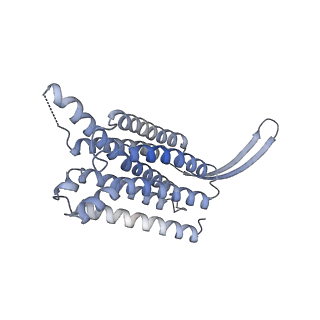 35380_8ied_A_v1-1
Cryo-EM structure of GPR156-miniGo-scFv16 complex