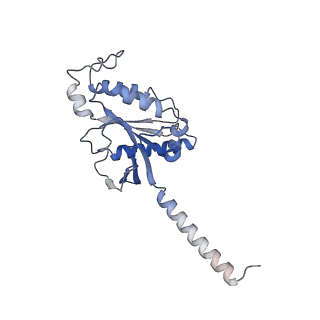 35380_8ied_C_v1-1
Cryo-EM structure of GPR156-miniGo-scFv16 complex