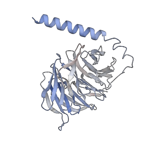 35380_8ied_D_v1-1
Cryo-EM structure of GPR156-miniGo-scFv16 complex