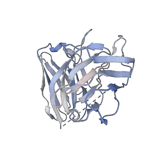 35380_8ied_N_v1-1
Cryo-EM structure of GPR156-miniGo-scFv16 complex