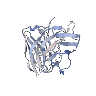 35380_8ied_N_v2-0
Cryo-EM structure of GPR156-miniGo-scFv16 complex