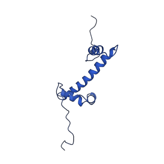 35381_8ieg_C_v1-1
Bre1(mRBD-RING)/Rad6-Ub/nucleosome complex
