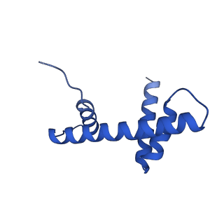 35381_8ieg_D_v1-1
Bre1(mRBD-RING)/Rad6-Ub/nucleosome complex