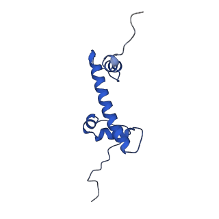 35381_8ieg_G_v1-1
Bre1(mRBD-RING)/Rad6-Ub/nucleosome complex