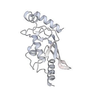 35381_8ieg_R_v1-1
Bre1(mRBD-RING)/Rad6-Ub/nucleosome complex