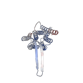 35382_8iei_A_v1-1
Cryo-EM structure of GPR156A/B of G-protein free GPR156 (local refine)