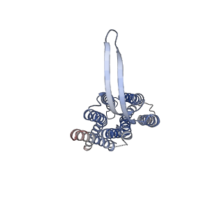 35382_8iei_B_v1-1
Cryo-EM structure of GPR156A/B of G-protein free GPR156 (local refine)