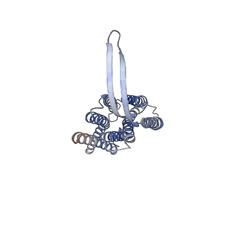 35382_8iei_B_v2-0
Cryo-EM structure of GPR156A/B of G-protein free GPR156 (local refine)