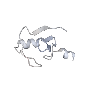 35383_8iej_A_v1-1
RNF20-RNF40/hRad6A-Ub/nucleosome complex