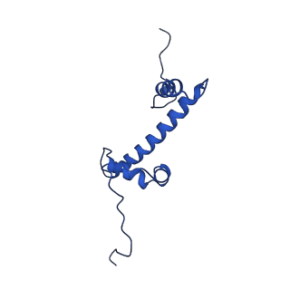 35383_8iej_C_v1-1
RNF20-RNF40/hRad6A-Ub/nucleosome complex