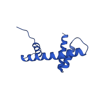 35383_8iej_D_v1-1
RNF20-RNF40/hRad6A-Ub/nucleosome complex