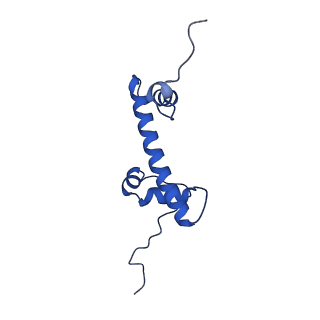 35383_8iej_G_v1-1
RNF20-RNF40/hRad6A-Ub/nucleosome complex