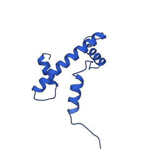 35383_8iej_K_v1-1
RNF20-RNF40/hRad6A-Ub/nucleosome complex