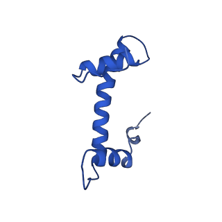 35383_8iej_L_v1-1
RNF20-RNF40/hRad6A-Ub/nucleosome complex