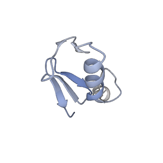35383_8iej_M_v1-1
RNF20-RNF40/hRad6A-Ub/nucleosome complex