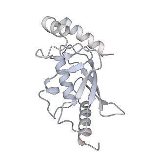 35383_8iej_R_v1-1
RNF20-RNF40/hRad6A-Ub/nucleosome complex