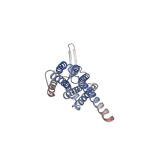 35389_8iep_C_v1-1
Cryo-EM structure of GPR156C/D of G-protein free GPR156 (local refine)