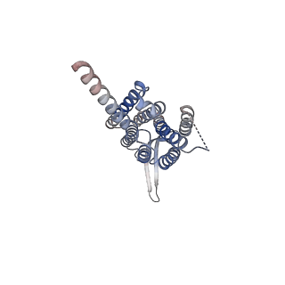 35389_8iep_D_v1-1
Cryo-EM structure of GPR156C/D of G-protein free GPR156 (local refine)