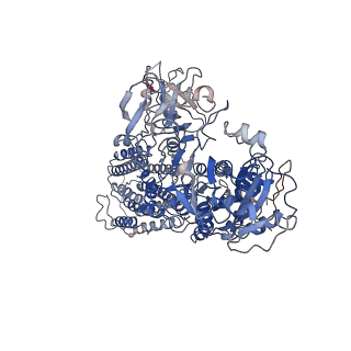 35392_8ies_P_v1-0
Cryo-EM structure of ATP13A2 in the E1P-ADP state