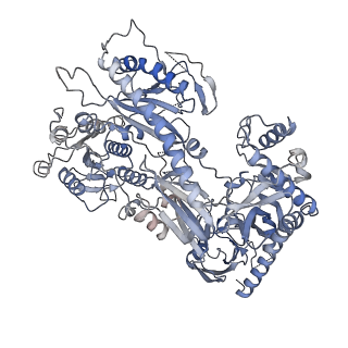 35399_8if3_A_v1-1
Structure of human alpha-2/delta-1 with mirogabalin