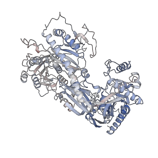 35400_8if4_A_v1-1
Structure of human alpha-2/delta-1 without mirogabalin