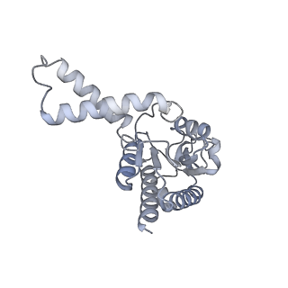 35412_8ifc_B_v1-0
Arbekacin-bound E.coli 70S ribosome in the PURE system