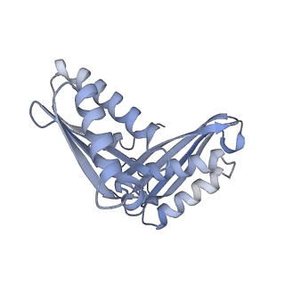 35412_8ifc_C_v1-0
Arbekacin-bound E.coli 70S ribosome in the PURE system