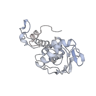 35412_8ifc_D_v1-0
Arbekacin-bound E.coli 70S ribosome in the PURE system